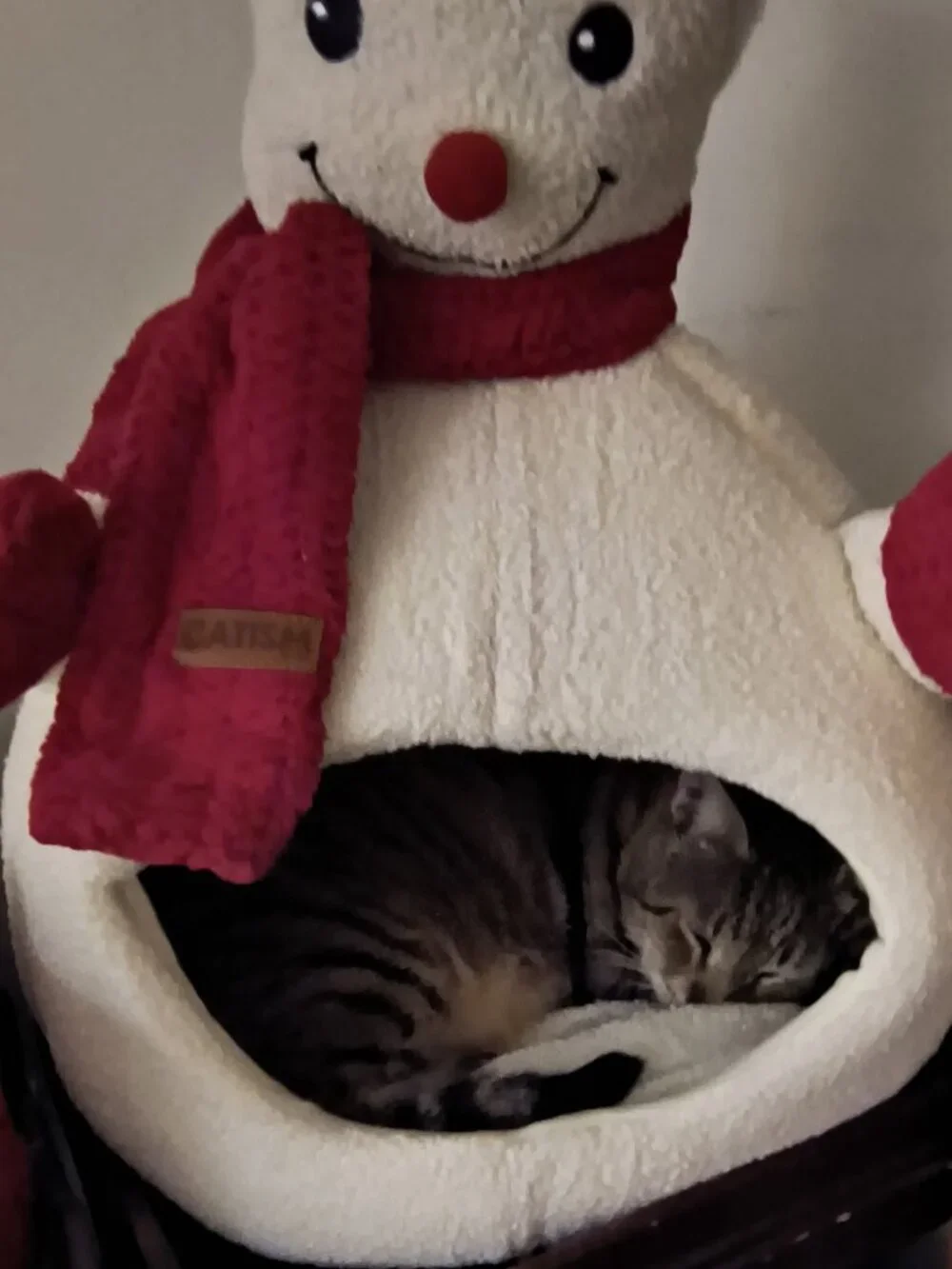 Snowman Cat Bed  Holiday Fun For Cats by CATISM - Like New!